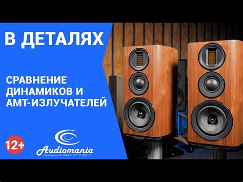 Важность правильного сочетания вуфера и твиттера в акустике