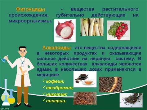 Важность продуктов растительного происхождения