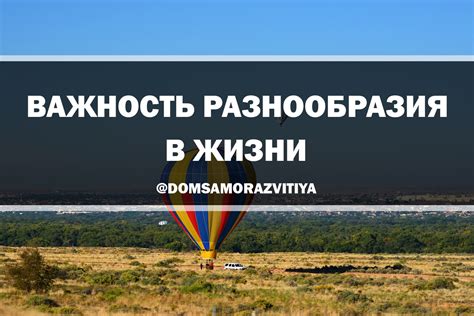 Важность разнообразия в общении