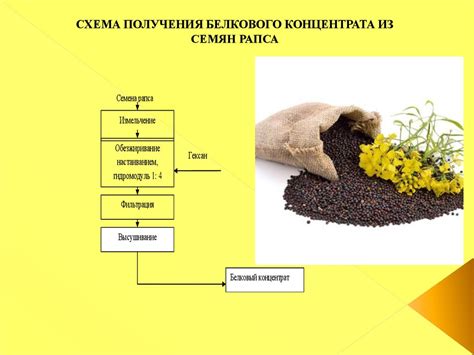 Важность растительного сырья в производстве