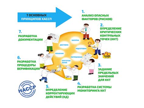 Важность системы Хассп в пищевой промышленности