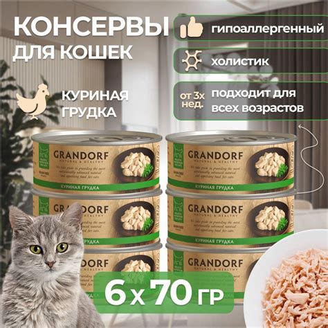 Важность холистического корма для котят