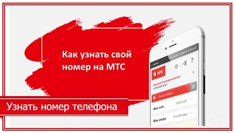 Важные моменты при поиске контактного номера телефона МТС Беларусь