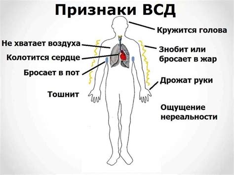 Вегетативная дистония: основные концепции и признаки