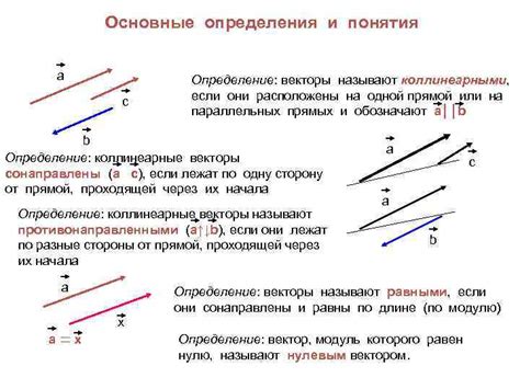 Векторы и силы: основные понятия