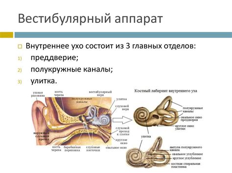 Вестибулярные проблемы