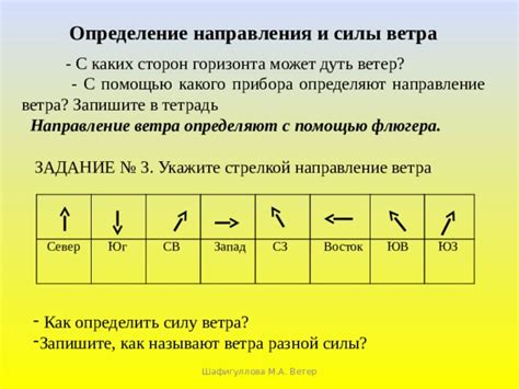 Ветровые условия: влияние направления и силы ветра на биологические системы