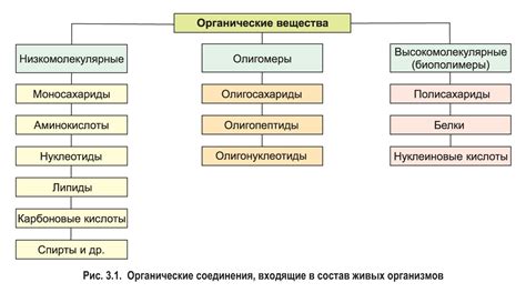 Вещества и их структура: основные понятия