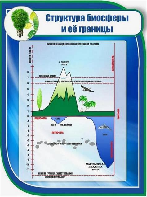 Взаимодействие биосферы и социосферы