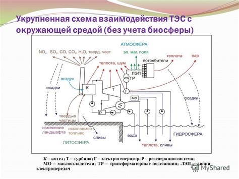 Взаимодействие гликокаликса с окружающей средой