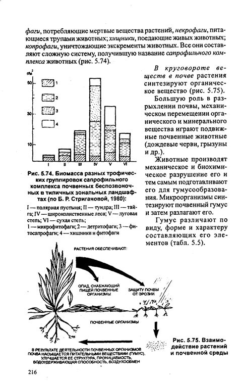 Взаимодействие растений с животным миром через цветки