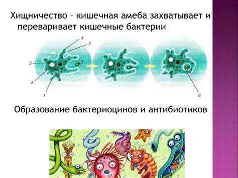 Взаимодействие с организмами