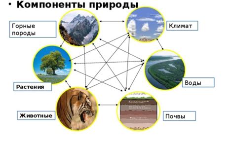 Взаимосвязь и взаимодействие природных явлений