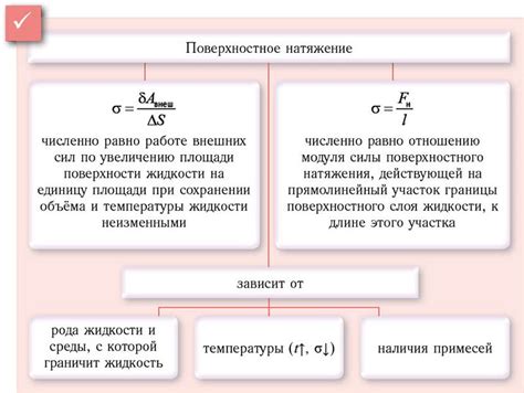 Взаимосвязь силы поверхностного натяжения и биологических процессов