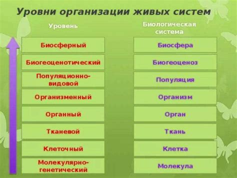 Взаимосвязь уровней организации живого вещества