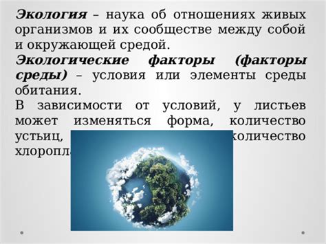 Взаимосвязь факторов окружающей среды и цвета листьев у клена