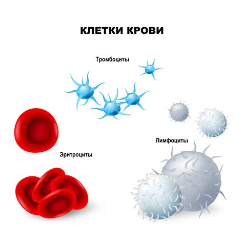 Взрослого повышен гемоглобин: