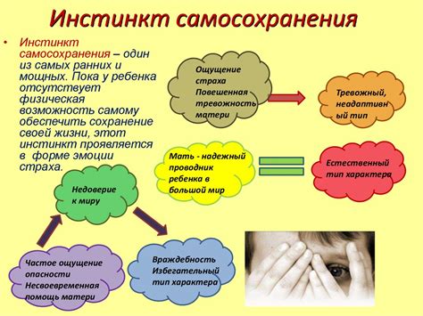 Виды и классификация инстинктов в обществознании