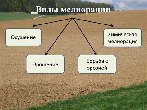 Виды категории земель "сельскохозяйственные населенные пункты"