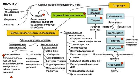 Виды оптимумов в биологии