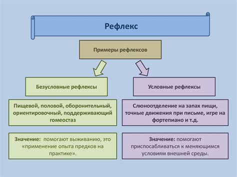 Виды рефлексов в биологии