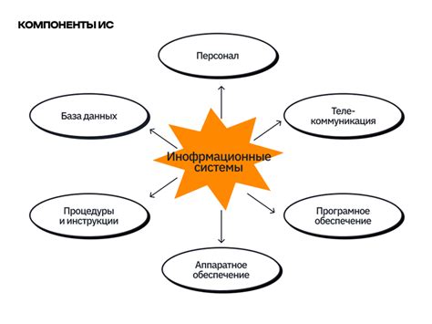 Виды систем и их ключевые составляющие