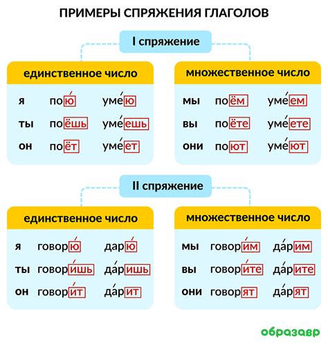 Виды спряжения глаголов