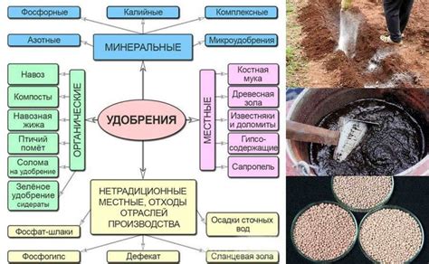 Виды удобрений для посадки лука