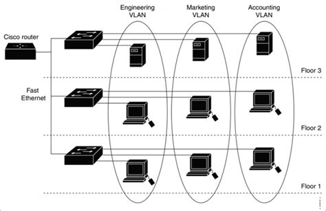 Виды VLAN