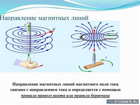 Визуализация магнитных линий и их роль в образовании магнитного поля