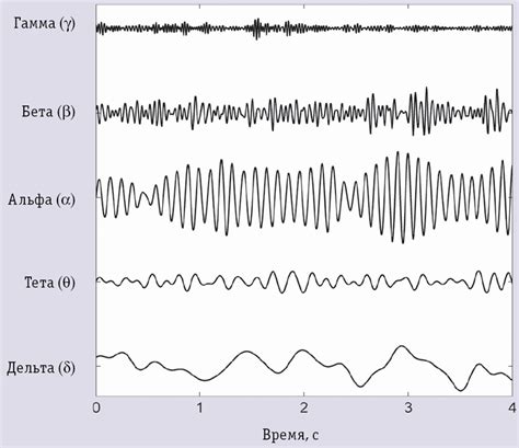 Визуализация электрической активности мозга на ЭЭГ