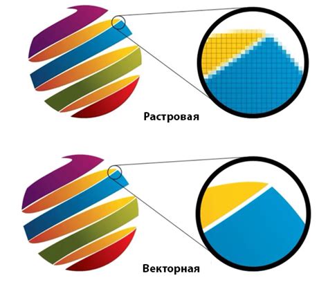 Визуальные отличия и характеристики