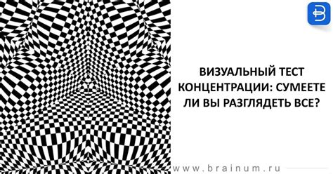 Визуальный эффект кружочка: привлечение внимания на сайте