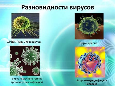 Вирусные инфекции: виды и проявления