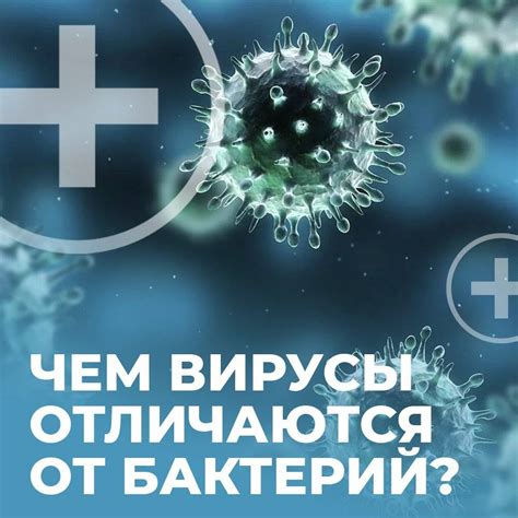 Вирусы и бактерии: что их отличает?