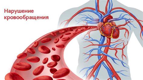 Витаминные дефициты и нарушение кровообращения