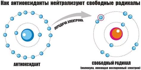 Витамины и антиоксиданты в составе масла