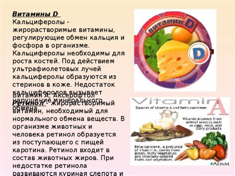 Витамины и минералы, регулирующие уровень кальция