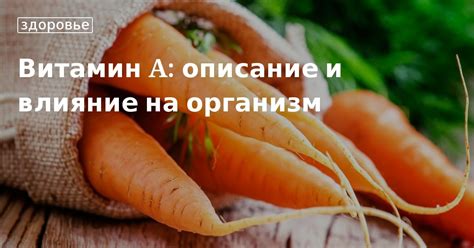 Витамин А: происхождение и влияние