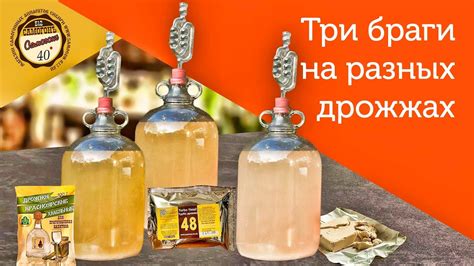 Вкусовые нюансы браги на основе разных ингредиентов