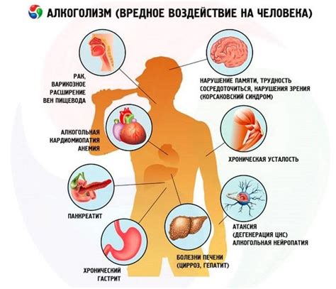 Влияние алкоголя на метаболизм и накопление жира