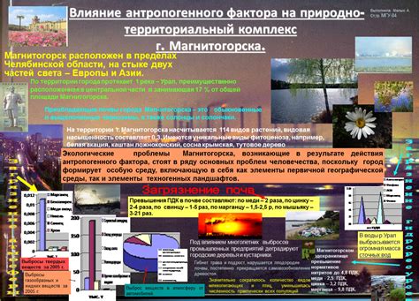 Влияние антропогенного фактора на многообразие водорослей