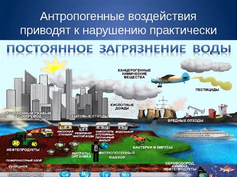 Влияние антропогенных факторов на Черное море