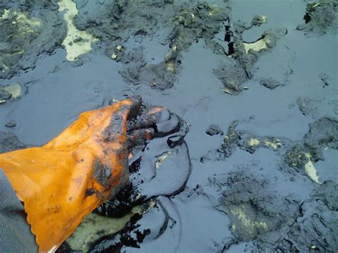 Влияние бетона на окружающую среду при контакте с водой