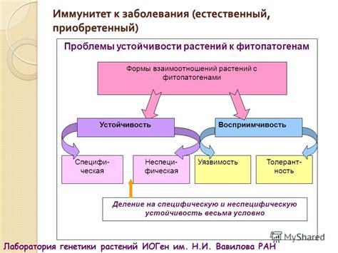 Влияние внешних факторов на ощущение царапин