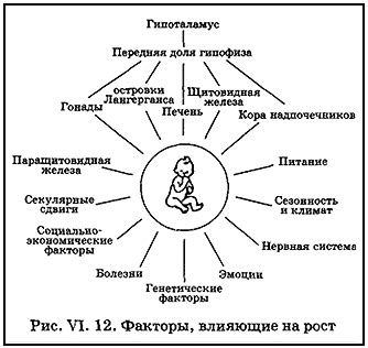 Влияние генетических факторов на развитие ребенка