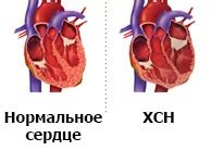 Влияние генетических факторов на черную пасть у собак