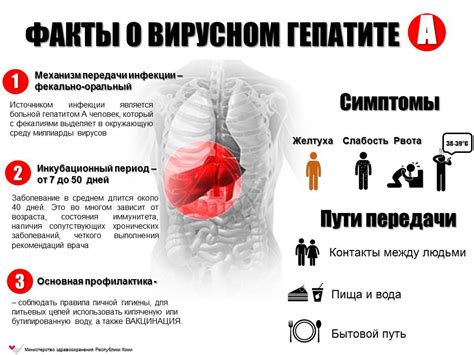 Влияние гепатита на длительность желтушки