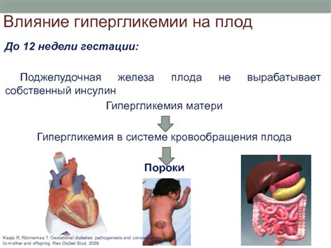 Влияние гипергликемии на желудок