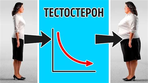 Влияние гормональных изменений на набор веса